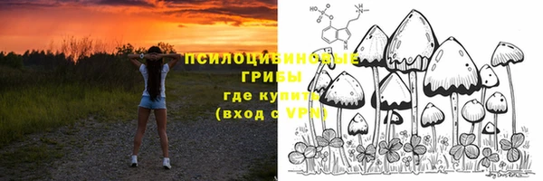 экстази Арсеньев