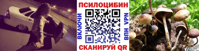 Галлюциногенные грибы мухоморы  Порхов 